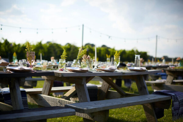 Picnic Weddings